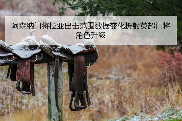 阿森纳门将拉亚出击范围数据变化折射英超门将角色升级