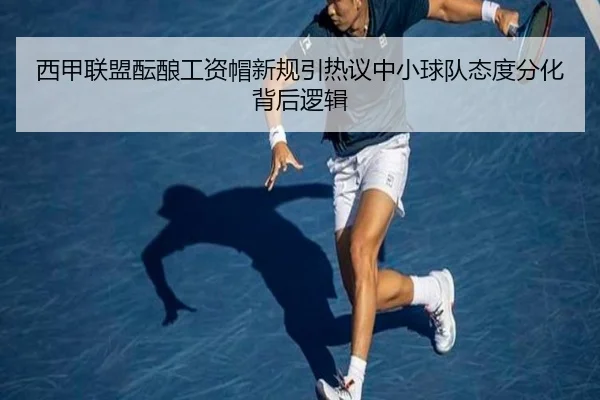 西甲联盟酝酿工资帽新规引热议中小球队态度分化背后逻辑