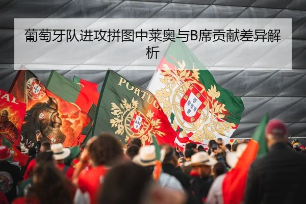 葡萄牙队进攻拼图中莱奥与B席贡献差异解析